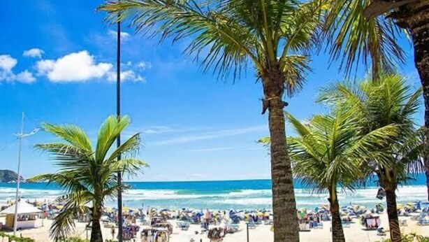 A beach with palm trees and a crowd of people. - Casa de Temporada Praia Santinho Inglese (Florianópolis)