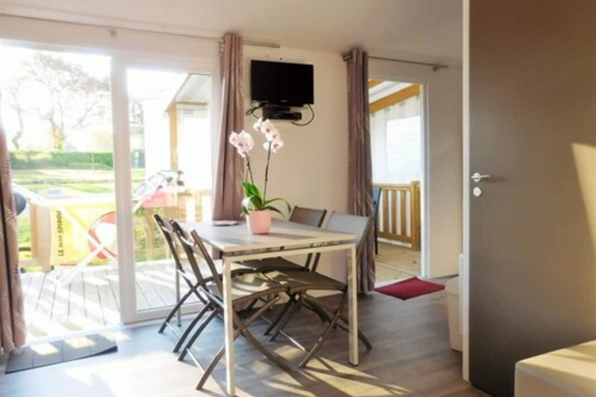 A room with a dining table, chairs, a potted orchid, a TV mounted on the wall, and a sliding glass door leading to an outdoor area.