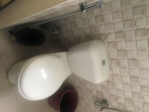 Regadera, bidet, papel de baño 