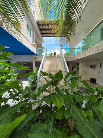 Comfort Double Room | Terrace/patio