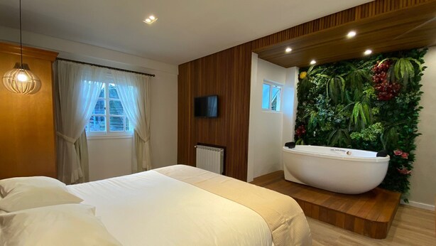 Een slaapkamer met een groot bed, een tv aan de muur, een ligbad en een groene wand met planten.