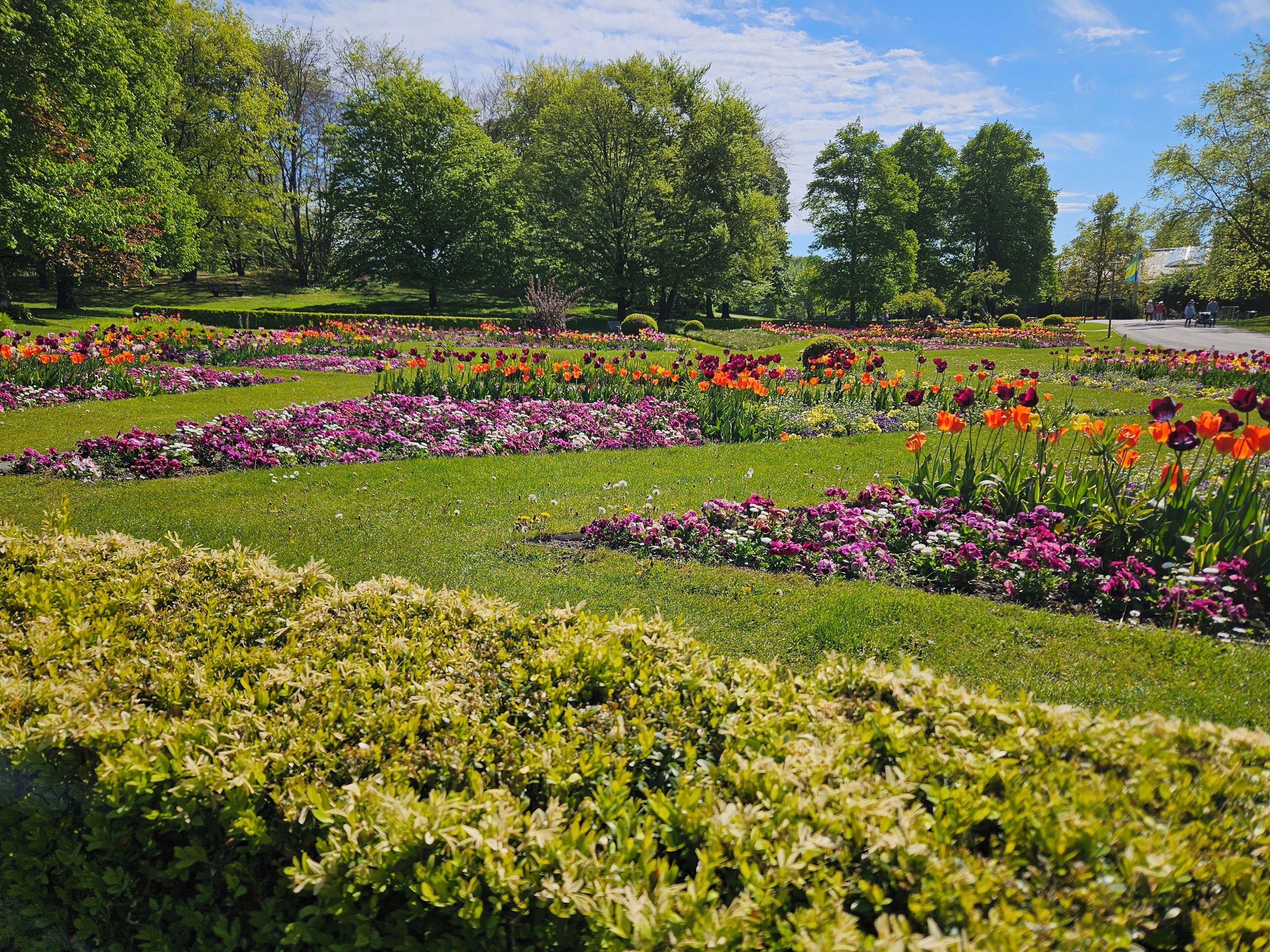 A well-maintained garden with various flower beds and neatly trimmed hedges.