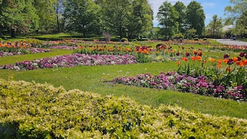A well-maintained garden with various flower beds and neatly trimmed hedges.