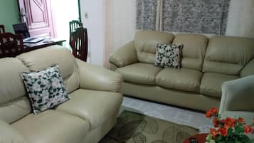 TV, DVD player, books, video library