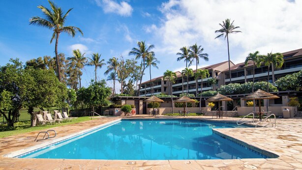 A swimming pool with lounge chairs and umbrellas, surrounded by palm trees and a multi-story building. - Beautiful updates--everything new! Golf course views!  Huge 2/2 K. Royal #A301 (Lahaina)
