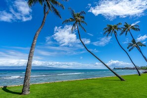 A beach with palm trees and a clear blue sky.