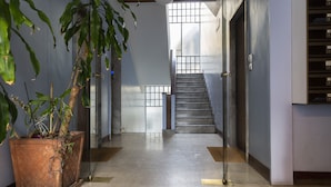 Un pasillo moderno con una escalera, una planta grande en maceta y una puerta de cristal que da a una habitación.