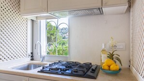 Een keuken met een gasfornuis, een spoelbak en een raam met uitzicht op groen.