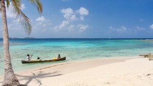 A beach with clear turquoise water, a sandy shore, and a palm tree. -  Paradise Over the Water Cabins in San Blas (Narganá)