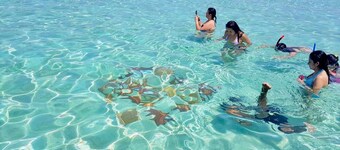 サンブラスの水上キャビン パラダイス