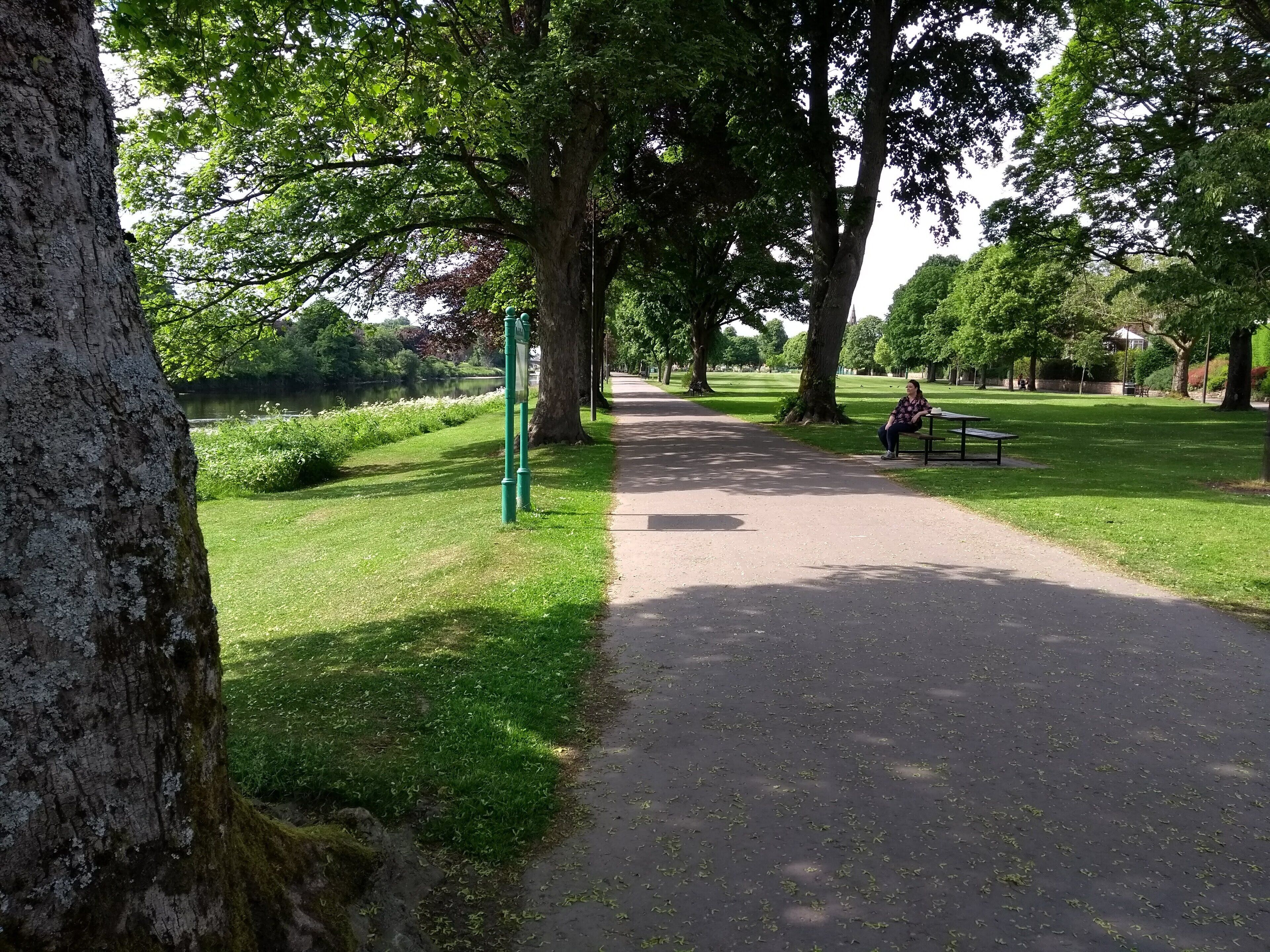 Een parkpad met banken en bomen.