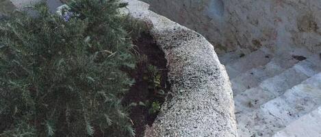 Áreas de la propiedad