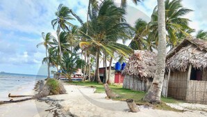 Een strand met palmbomen, een hut met rieten dak en een boot op de achtergrond.