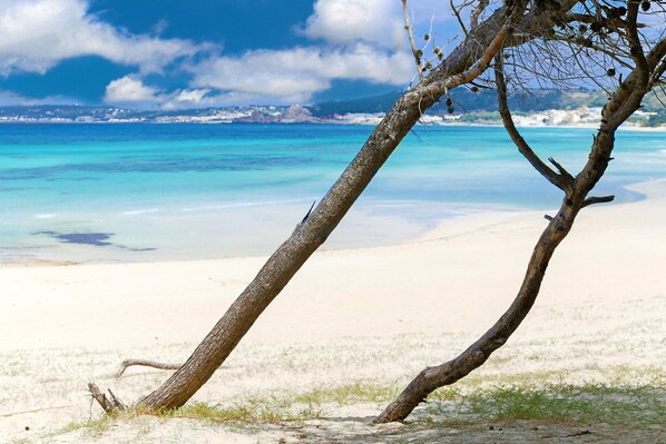 Sur la plage, parasol