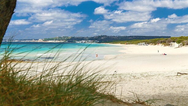 Una spiaggia con acque cristalline turchesi, sabbia bianca e una vista in lontananza di edifici e vegetazione.