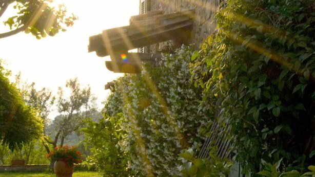 Un chemin bordé de plantes en pot et un bâtiment à la façade en pierre.