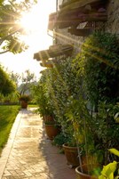 Jardín