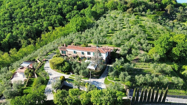 A stone house with a red-tiled roof surrounded by lush greenery and a vineyard.