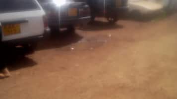 Avgiftsfri parkering