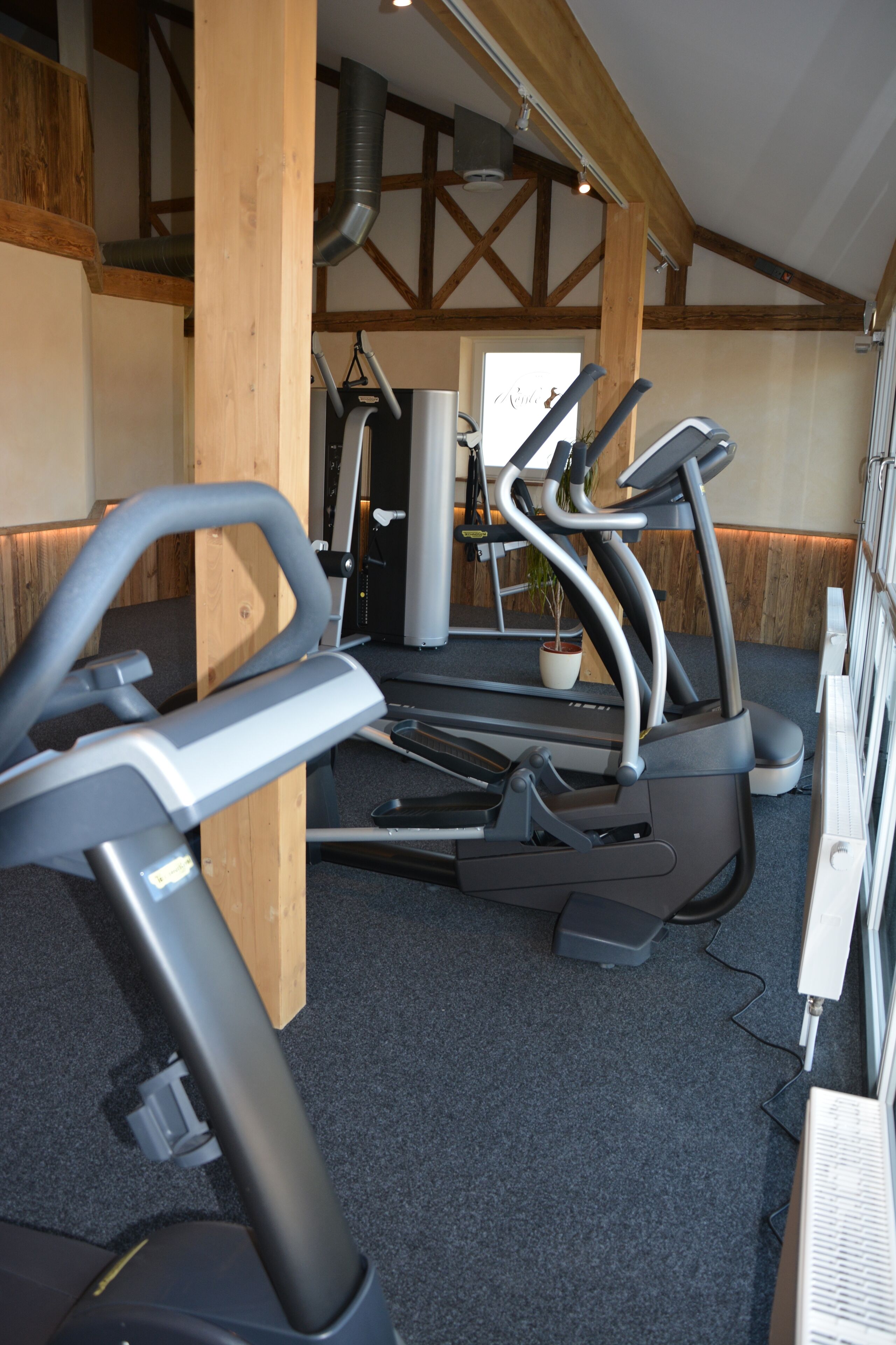 Una palestra con attrezzi da ginnastica, travi in legno e una pianta in vaso.