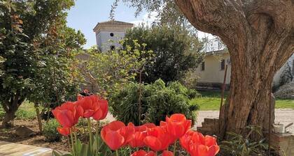 Agriturismo Torre Mannella