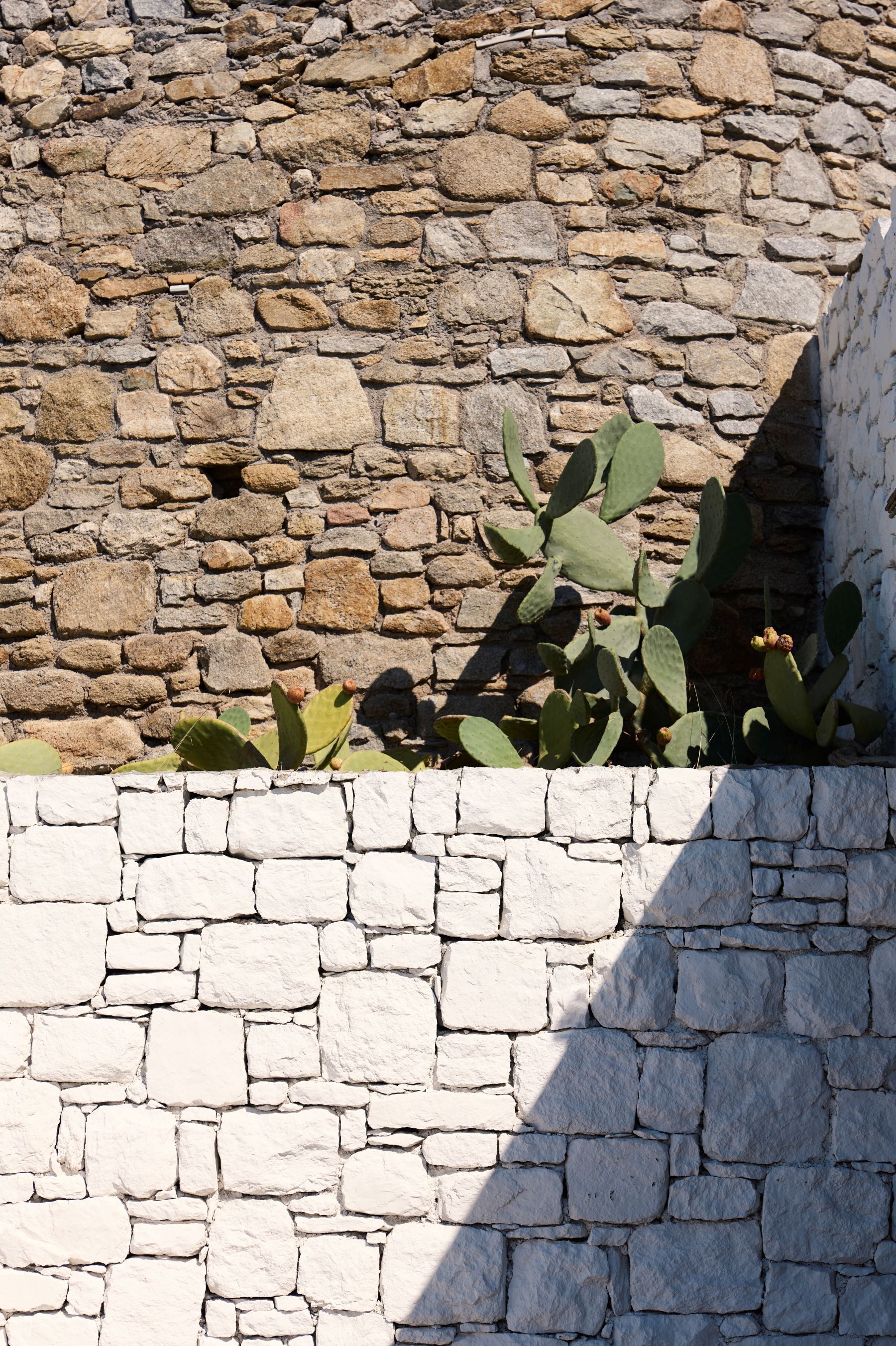 Foto - Mykonos Earth Suites