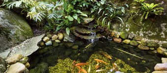 Pousada Vila Taquaras