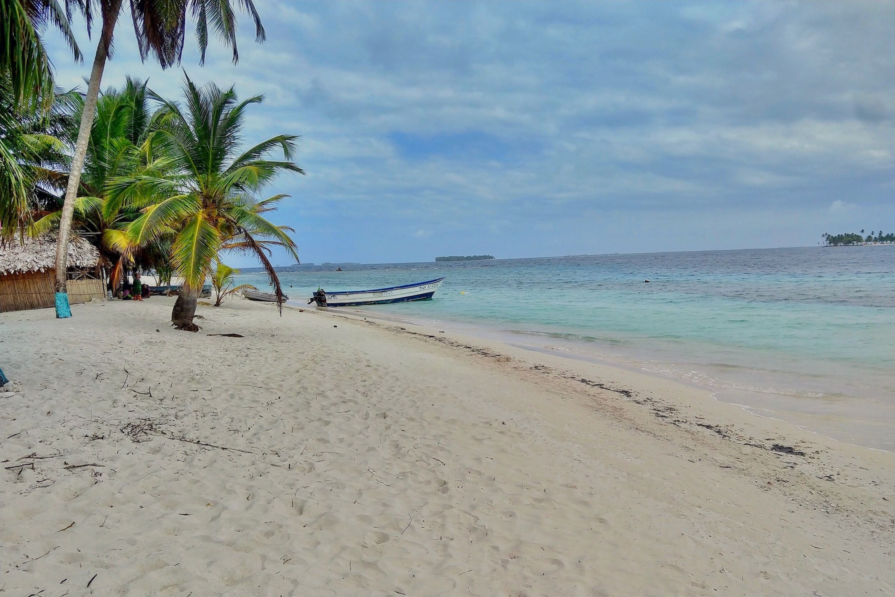 A beach with a thatched-roof hut, palm trees, and a small boat on the sand.