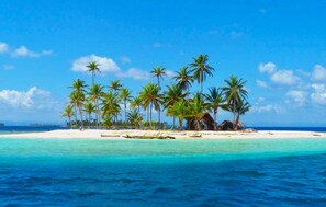 Una playa tropical con palmeras y aguas turquesas cristalinas.