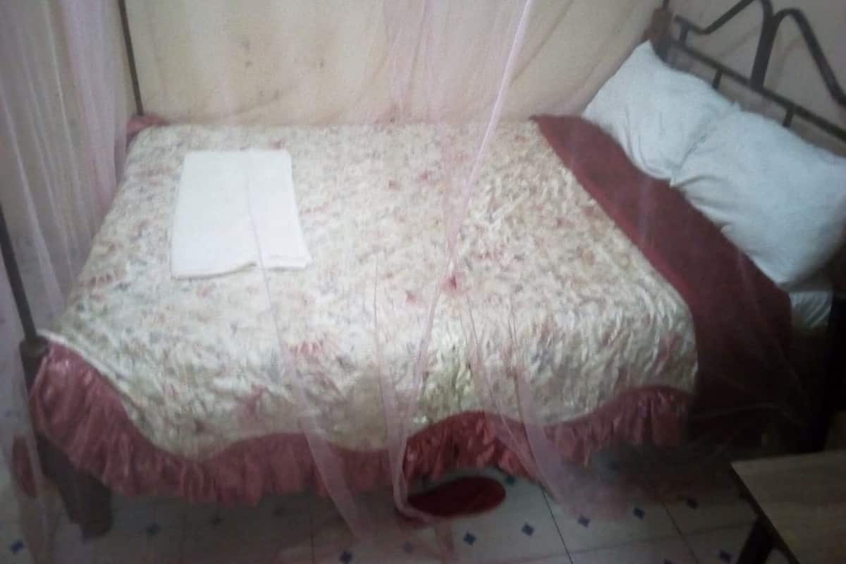 Ein Bett mit blumigem Überwurf, einem weißen Kopfkissen und einer roten Decke.