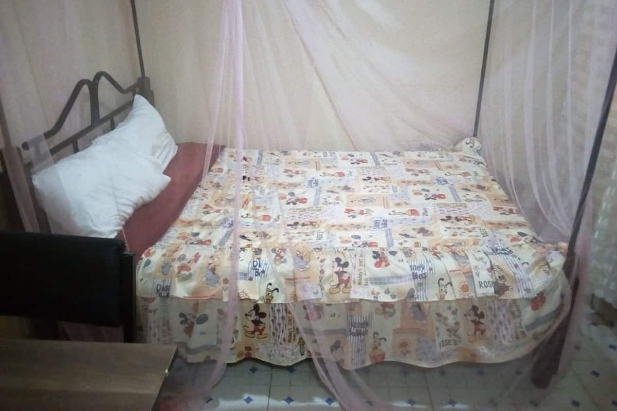 Ein Einzelbett mit Baldachin, Kissen und Decke mit Zeichentrickfiguren.