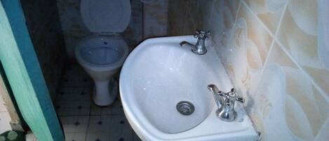A bathroom with a toilet and a sink.