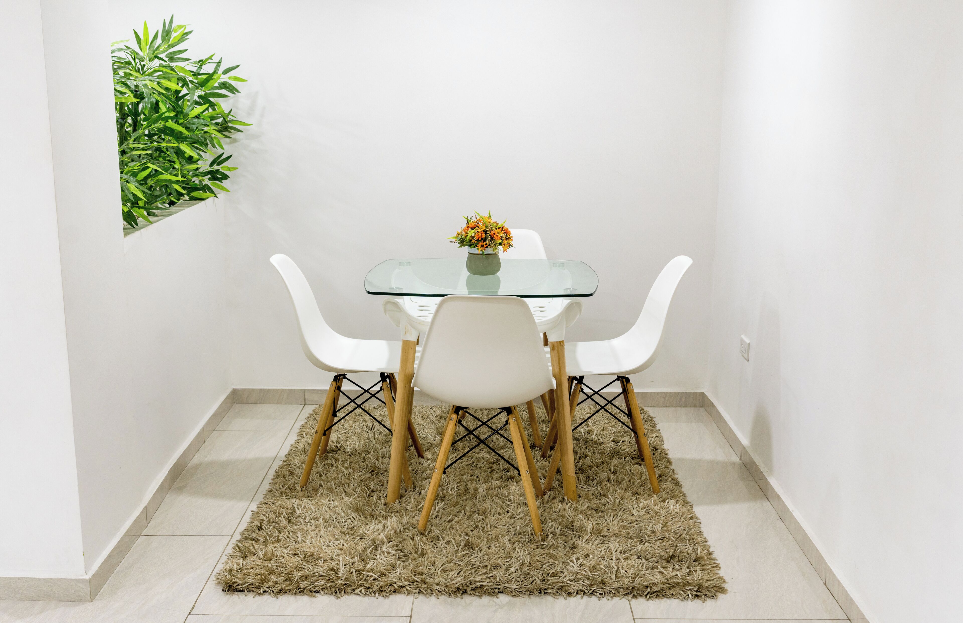 A dining area with a glass table, white chairs, and a small plant on the table.