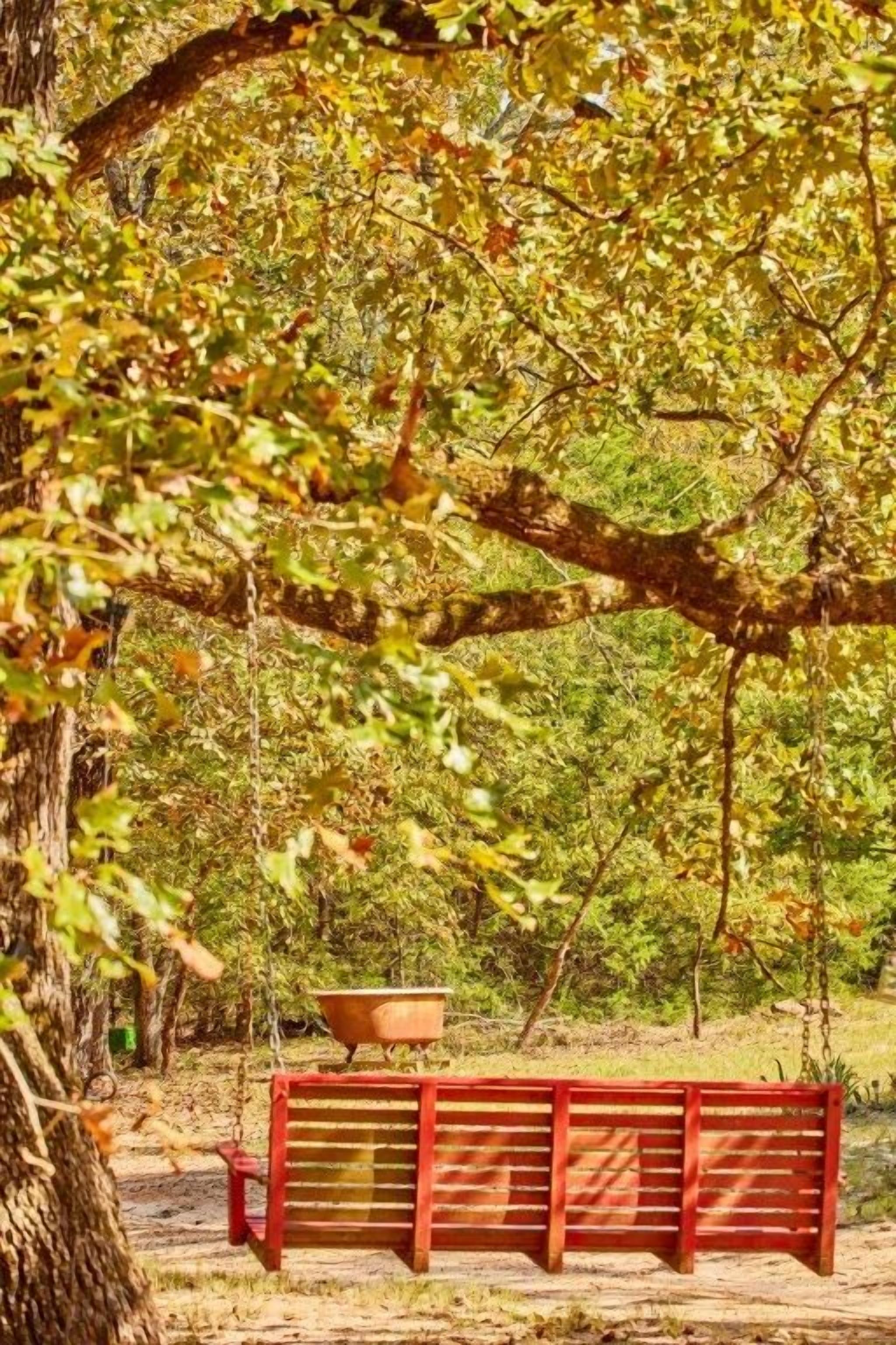 Un banco con una maceta grande debajo de un árbol.
