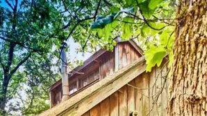 Une cabane en bois rustique, dotée d’une véranda, d’une balançoire et d’un grand tronc d’arbre.