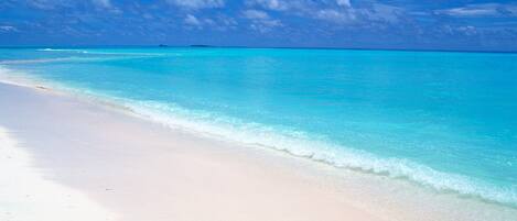 A la platja i gandules de platja