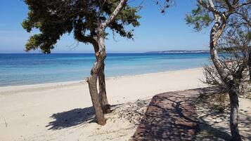 Accommodatie ligt op het strand, ligstoelen