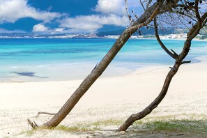 On the beach, sun-loungers