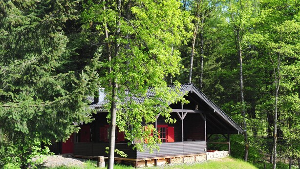 A cabin with a wooden deck, surrounded by dense forest. - Blockhaus Bodefall (Braunlage)