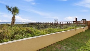 A coastal walkway with a palm tree, a fence, and a view of the sea.