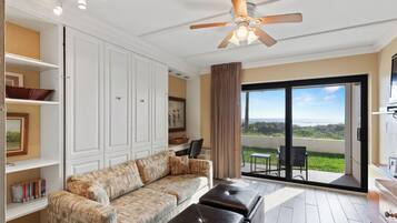 电视、DVD 播放器