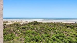 A beach view with a clear sky, sandy beach, and green vegetation. - Beacher's Oceanfront Balcony Suite with Onsite Front desk and staff (St. Augustine)