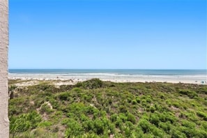 A beach view with a clear sky, sandy beach, and green vegetation.