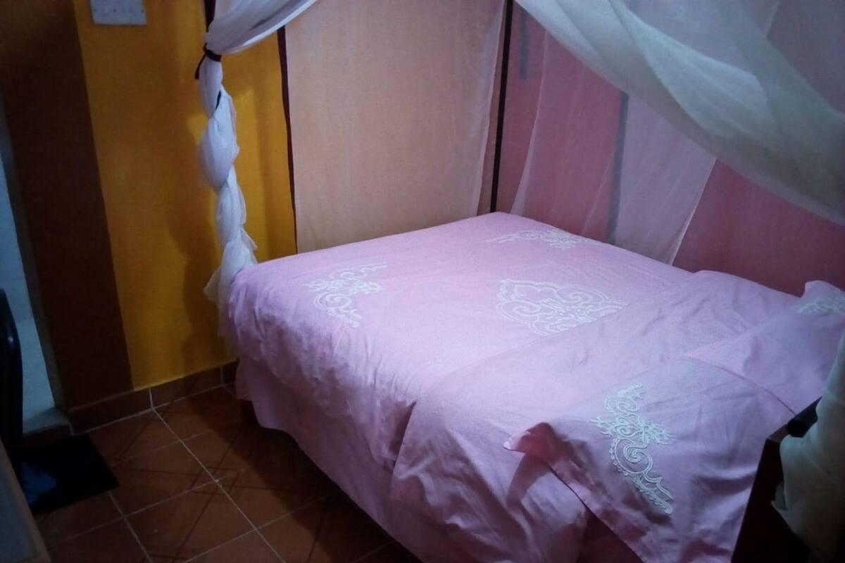 A small, single-bed room with a pink bedspread and white canopy.