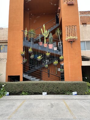 Jardin