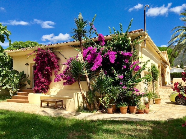 A house with a beige exterior, a tiled roof, and a garden with potted plants and flowering bushes.