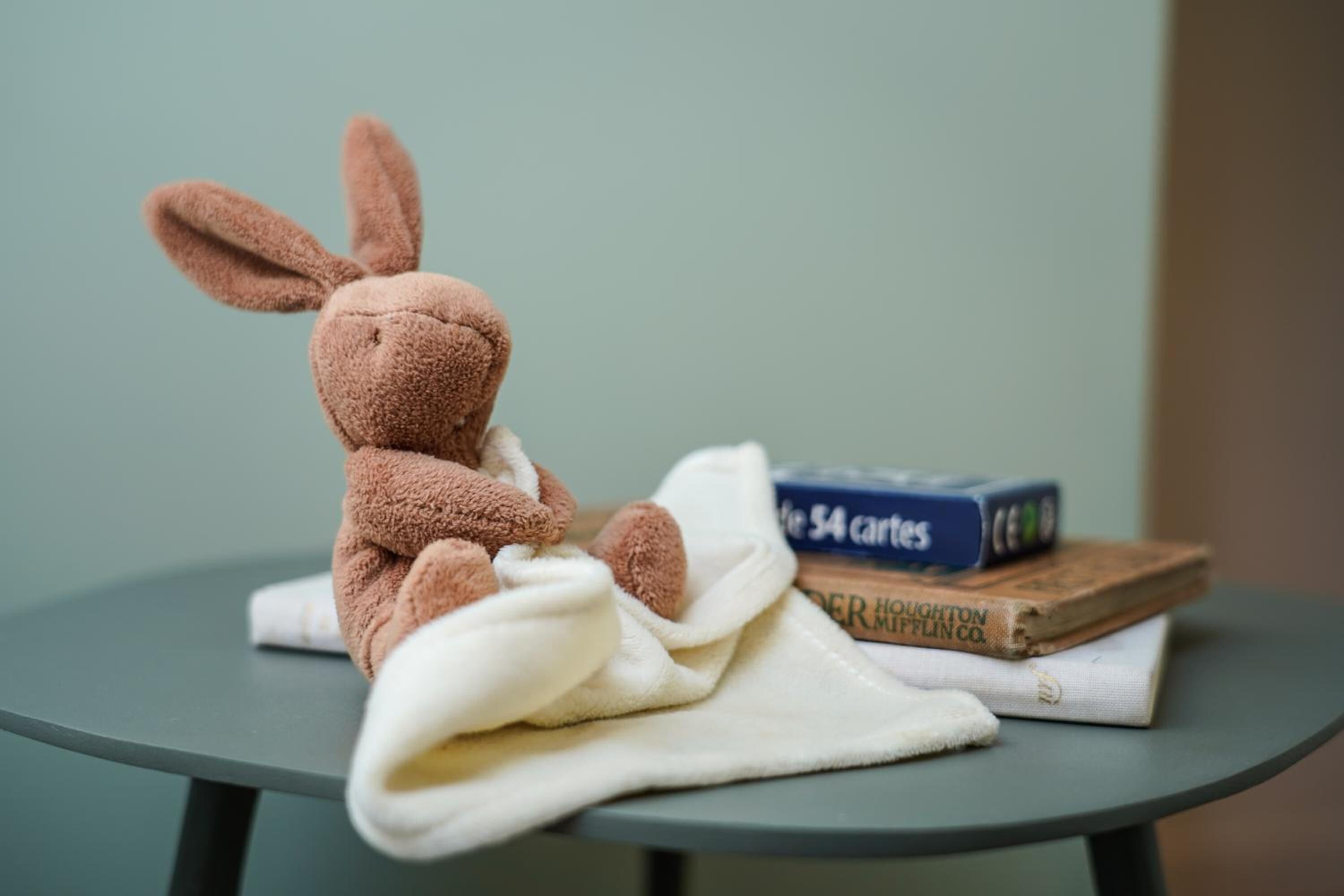 A plush toy rabbit sitting on a table with a book titled "The 34 Cartes" and another book with visible text "DER HUGHTON MIFLIN CO."