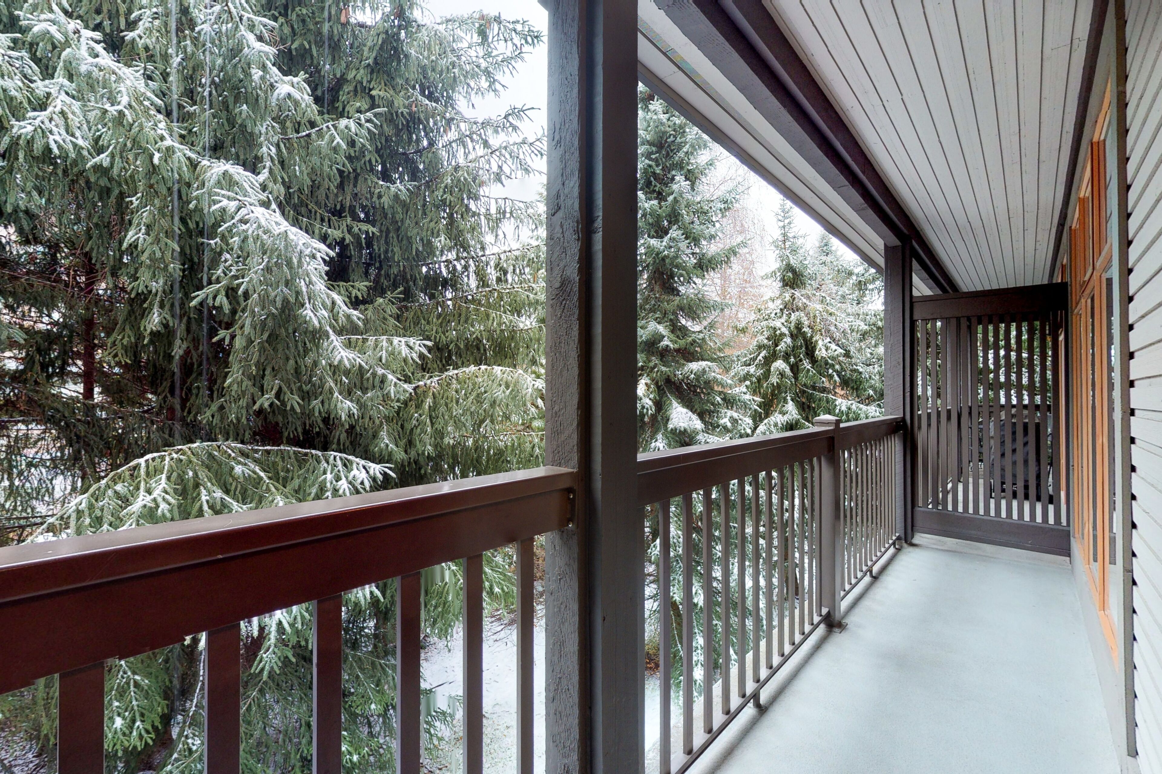 Ein überdachter Balkon mit Blick auf schneebedeckte Bäume.
