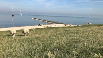 Una spiaggia nelle vicinanze