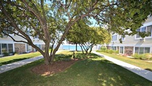 A residential area with a tree-lined pathway leading to a building with a view of the ocean. - BEACHFRONT LAKE FACING Lake Michigan 1BR - private beach/heated pool/sundeck! (South Haven)